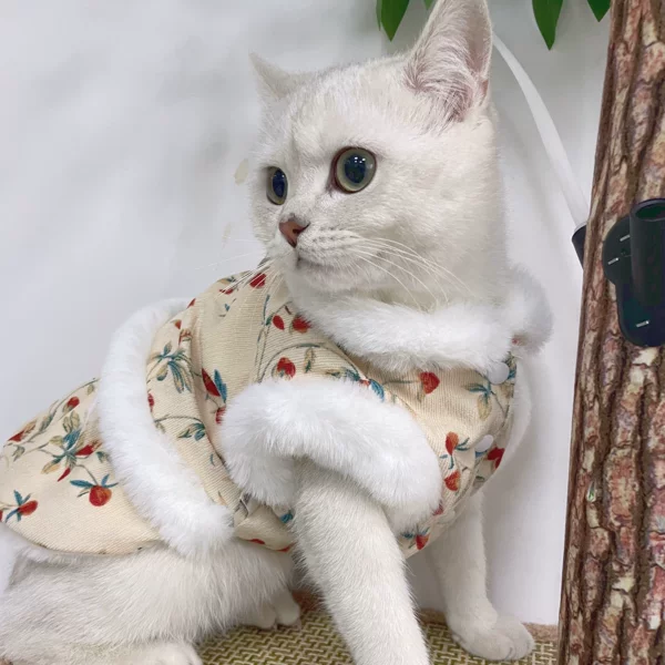 Товары от 哈哈是啊呀