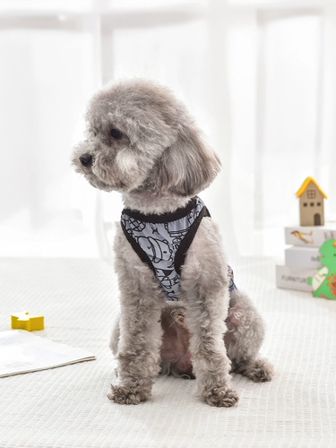 Жилетки для щенка Лето Тедди Бишон медведь маленькие щенки домашние животные увлечения гранатами и летней одеждой
