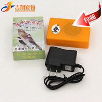 Bird with happy learning machine thrush bird learning machine called machine Bailing Red Son learning electronic tweet machine repeater