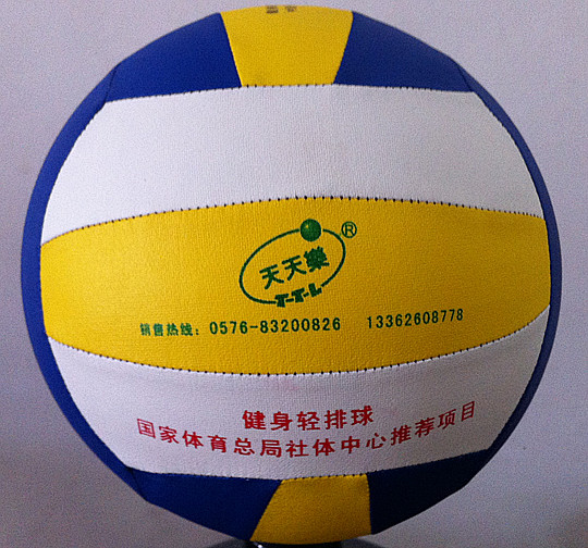 Ballon de volley - Ref 2012644 Image 5