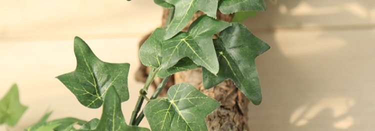 Mô phỏng cây xanh mây ivy trần trang trí hoa cây nho tường ống cây nho điều hòa không khí ống nho - Hoa nhân tạo / Cây / Trái cây cây oliu giả