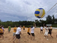 Волейбольный воздушный насос, 1.5м, 1 шт