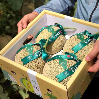 Пятно японский сорт корова 3 дыня Сидзуока розовая дыня подарочная коробка мягкая и восковая сладкая медовая сетчатая дыня бесплатная доставка