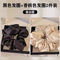 Недавно модернизированная модель ⭐elegant Black + White White Elasticty без выпадения волос