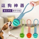 Dog toy food leaking ball, bite-resistant molar stick, threaded rope, chewing rope, Labrador, Teddy Golden Retriever, interactive tug-of-war