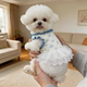 Pet Dog Clothes Spring and Summer Mesh Princess Dress Cat Bichon Teddy Small Dog Floral Puff Dress