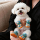 Dog shoes, outdoor elastic shoes, anti-dirty, non-slip, breathable, non-falling foot covers, Teddy Bichon small dog pet shoe covers