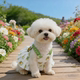 Pet dog clothes summer thin cute breathable teddy panda princess style cake suspenders cotton skirt