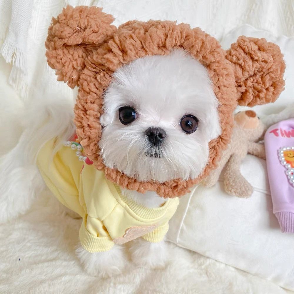 Pet Hats Pooch Cute Little Bear Heads Adorned Small Dog Headgear Cat Plush Rabbit Ears Photo To Blame for Strange Decorations-Taobao