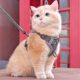 Cat traction rope vest, anti-breakaway, special cat walking rope, pet harness chain, adjustable cat walking artifact