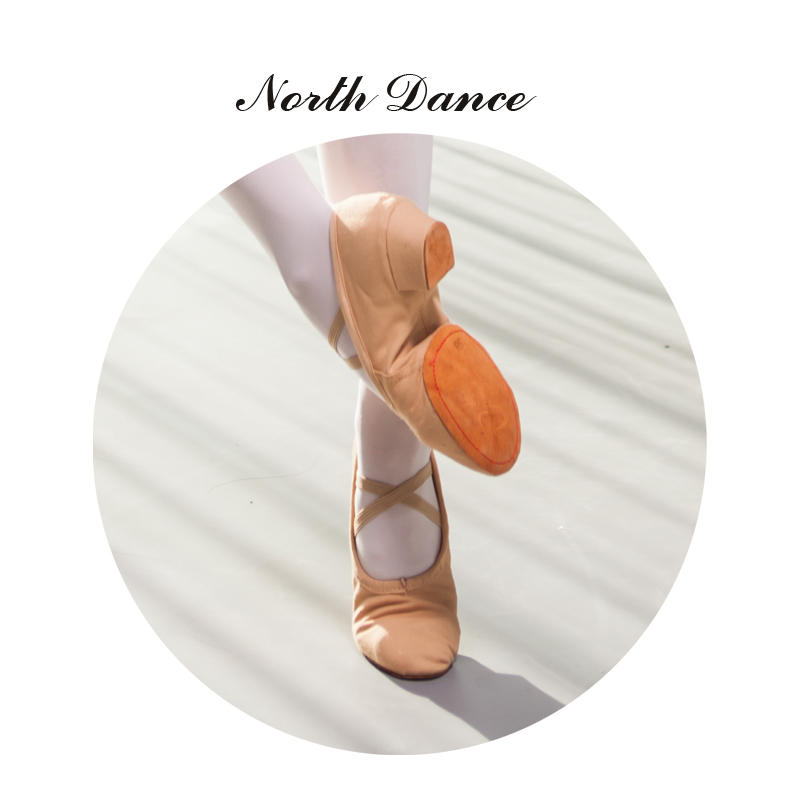 Chaussons de danse - Ref 3447732 Image 17