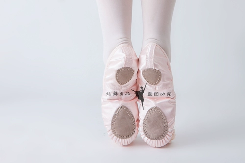 Детская обувь для раннего возраста, балетки, танцующие туфли, мягкая подошва, в цветочек