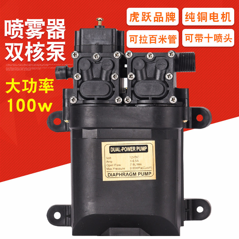 High power 12V dual-core pump power water pump agricultural electric sprayer retrofit double pump high-pressure spray drug wash water pump