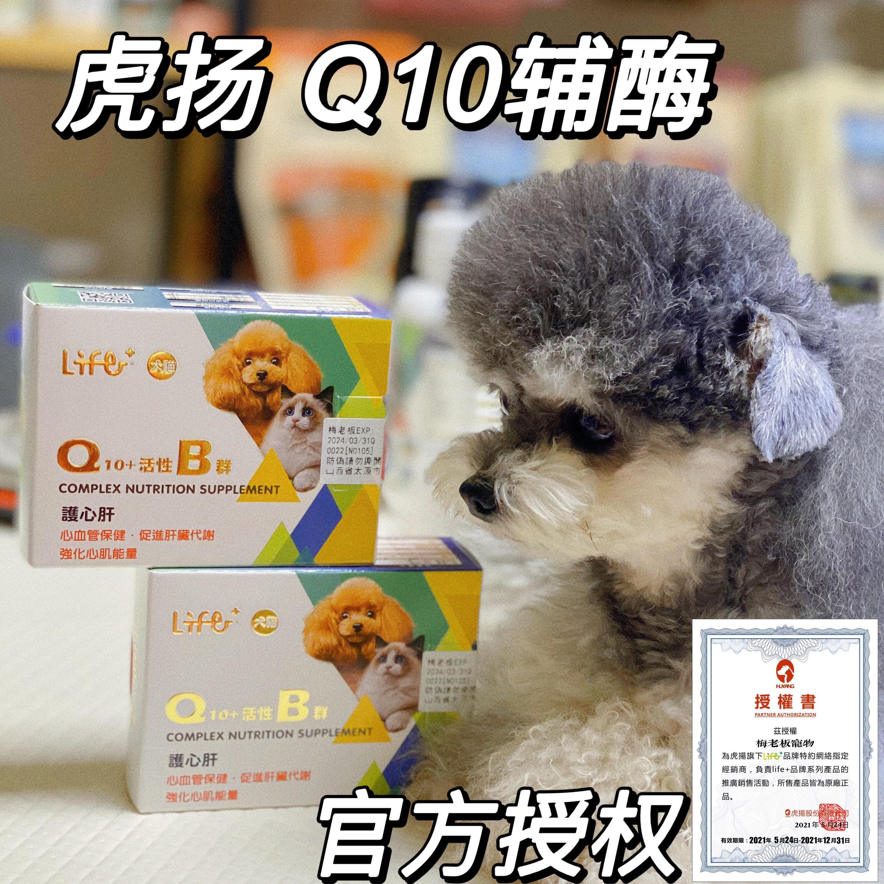 Mei boss pet # Taiwan Tiyang Q - 10 Coenzyme elderly dog Beauty protects heart liver periodontitis
