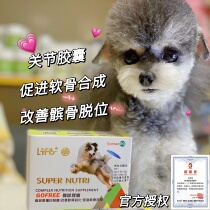 Plum Boss Pet #tiger Yangjoint Capsule for the Year of the Year