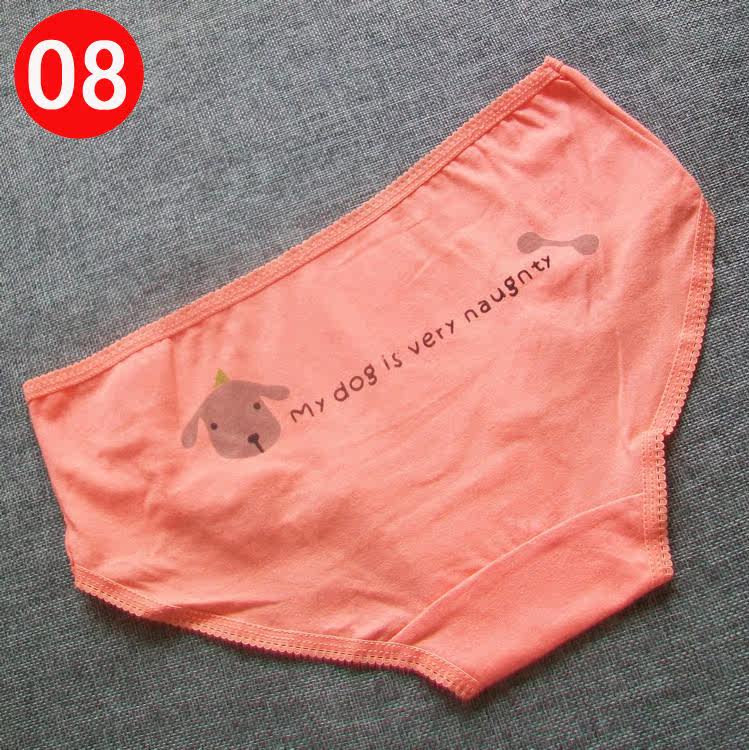 Slip jeunesse W009 en coton - Ref 646185 Image 16