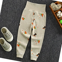 Chephon Abricot High-waist Pants-Cherry
