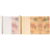 Ленг Ян скопировал пост для написания кисти, красную копию ручной копии длинного рулона, антикварная копия оригинальной записи ученых, текст небольшого корпуса, пост для каллиграфии с мягкой кистью.