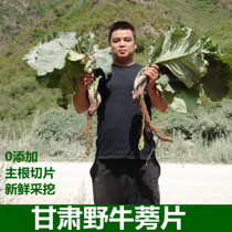 Gansu pure wild burdock root slices 500g burdock tea health tea dry goods sulfur-free Chinese medicinal materials