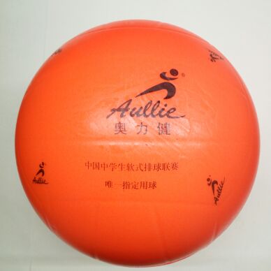 Ballon de volley - Ref 2013864 Image 4