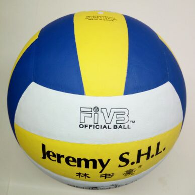 Ballon de volley - Ref 2009333 Image 3