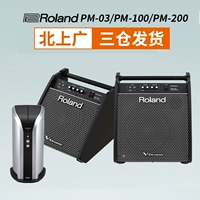 Loa trống Roland Roland Trống PM10 Nâng cấp Loa màn hình PM100 PM03 - Loa loa loa bang & olufsen