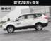 Beiqi Magic Speed ​​S3 Xe Sticker S2 Nhãn dán trang trí xe H2 Thân kéo Hoa Yubao X65 Refit Sticker Color Bar - Sửa đổi ô tô mua chổi rửa xe ô tô Sửa đổi ô tô