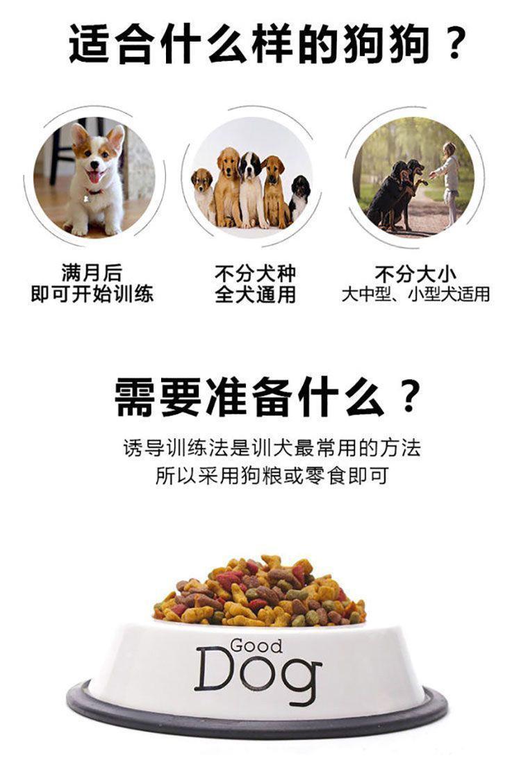 训狗教程金毛边牧狗狗零基础新版宠物定点上厕所动作训练视频课程