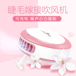 접목 된 속눈썹 작은 팬 헤어 건조기 속눈썹 이식 된 거짓 속눈썹 도구 도매 공장 직접 판매 OEM