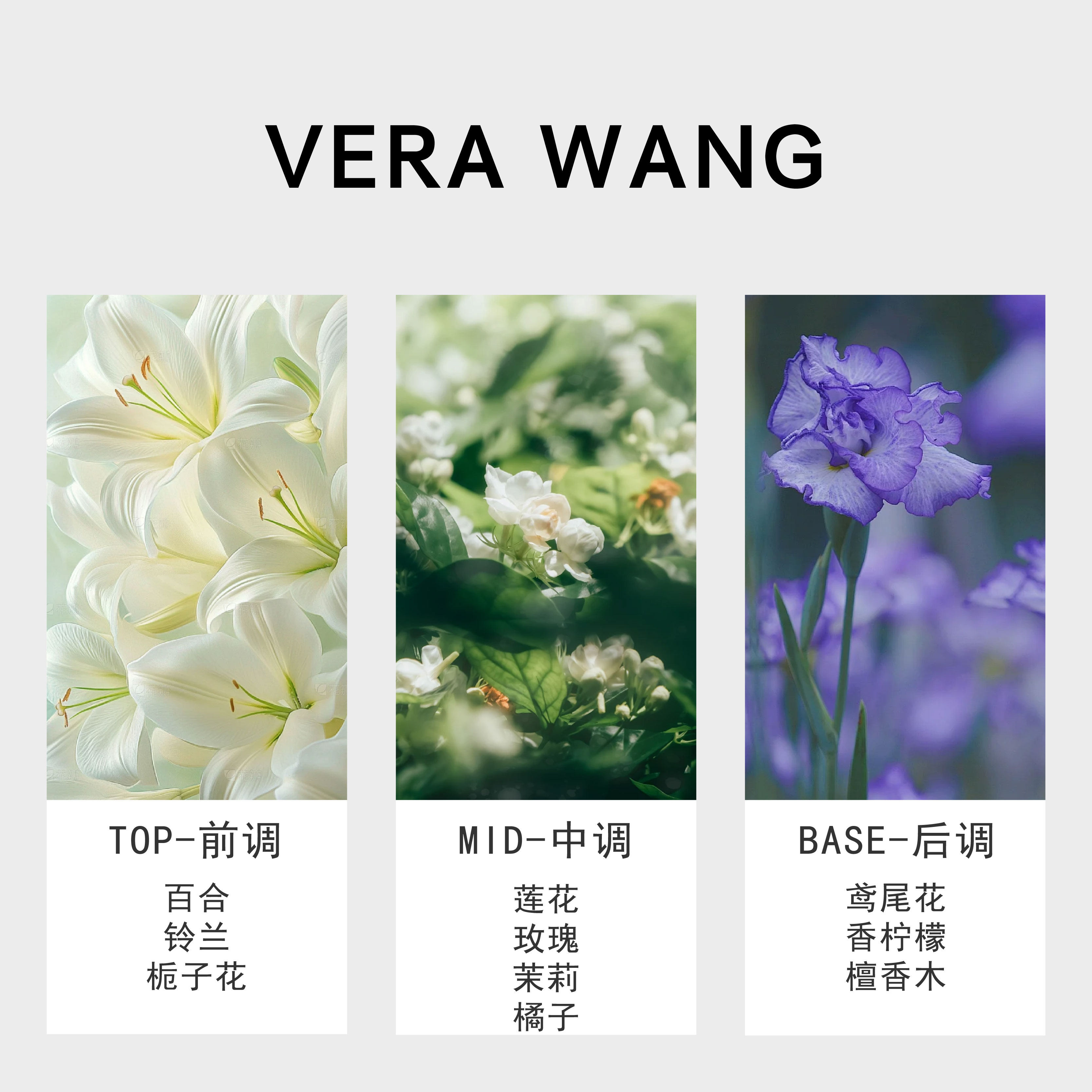 女子登山迷路遇神秘大叔事件分析, image size:3333x3333