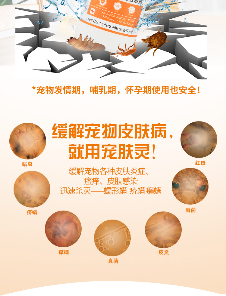 Pet da duyên dáng da chó bệnh da chó phun rệp nấm nhiễm nấm rận mèo tại chỗ mèo liếm thuốc thú cưng - Cat / Dog Medical Supplies Dụng cụ phẫu thuật thú y