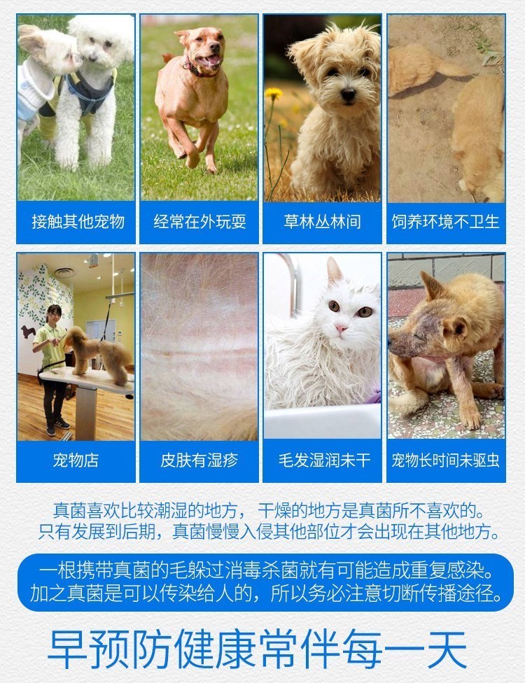 贝斯 宠 喷剂 100ml chó mèo ve nấm bệnh nấm da viêm da chàm - Cat / Dog Medical Supplies 	các loại kim tiêm thú y	