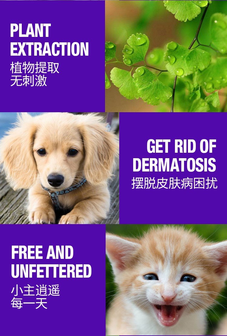贝斯 菌 皮皮 Bệnh chàm da Bệnh nấm da dầu gội - Cat / Dog Medical Supplies máy siêu âm chó mèo