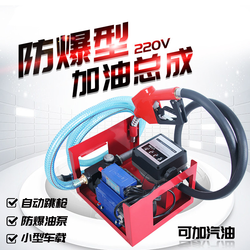 Diesel tanker 12V vehicle 220V large flow mute tanker 220V gas pump kerosene automatic refueling