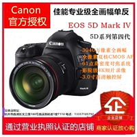 Canon EOS 5D Mark IV 5D4 Bộ 24-105USM Máy ảnh DSLR chuyên nghiệp full frame - SLR kỹ thuật số chuyên nghiệp máy ảnh chụp đẹp