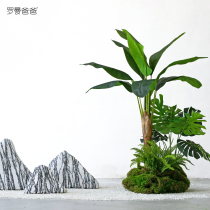 Nordic wind simulation green plant banana tree potted landscape plant interior window floor decoration landscape plant decoration