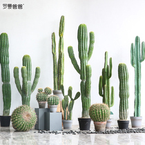 Roman Dad Nordic large simulation Green Cactus package indoor landscape plant landscaping window ornaments