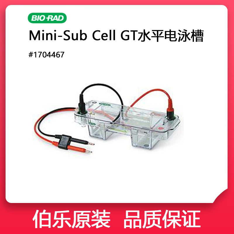 Bio-Rad伯乐1704467 Mini-Sub Cell GT System小型水平核酸电