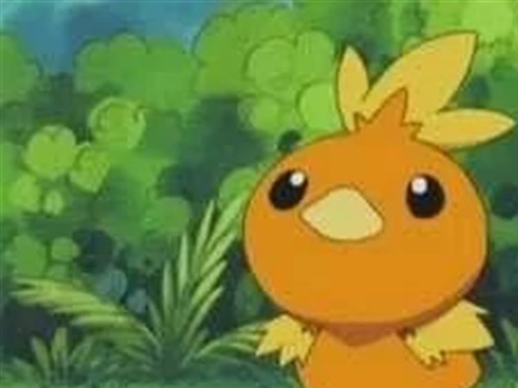 會噴火焰的寶可夢 這隻達到6000度 淘寶海外 會噴火焰的寶可夢 這隻達到6000度 淘寶海外