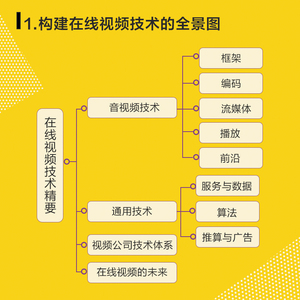 正版 在线视频技术精要 音视频 开发 人工智能 编解码 帮你构建在线视频技术的全景图在线视频技术