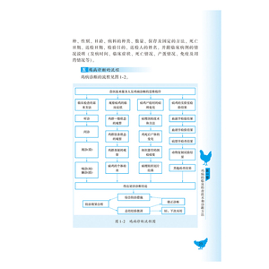 正版 鸡病快速诊断与防治技术 养鸡技术书籍 养鸡病防治实用手册鸡病害防治书籍养鸡知识 畜禽畜牧土鸡养殖大全书籍