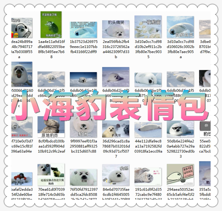 Super cute full set of small seal emoji small white leopard emoji leopard laughing leopard anger qq WeChat emoticon