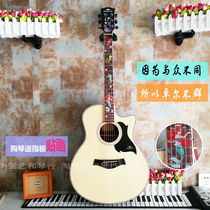 kepma Cama D1C A1C folk guitar beginner EDC EAC ES36 students novice 41