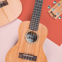 UMA ukulele beginner student adult female boy veneer beginner 23 inch ukulele small guitar