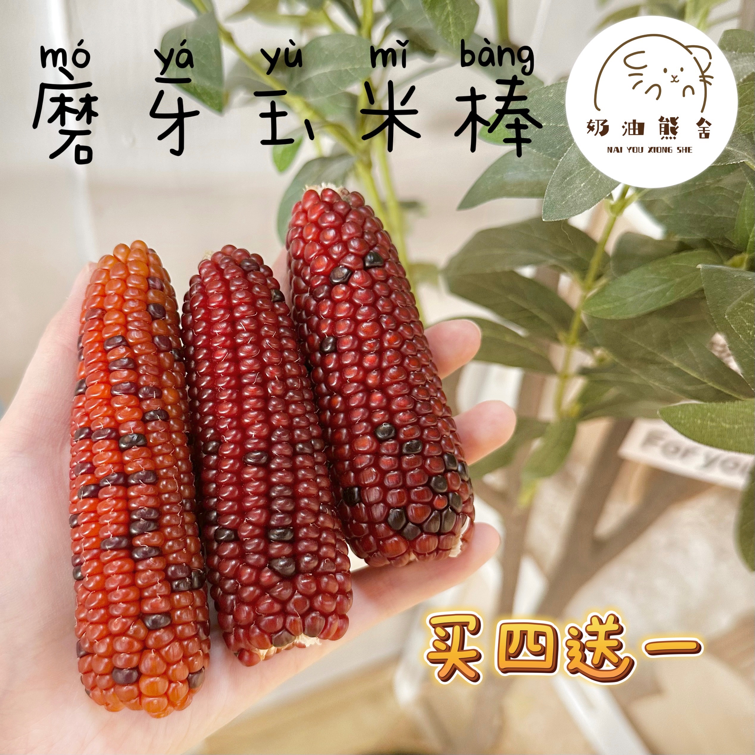 Butter Bear House｜Mini Teething Corn Cob Hamster Golden Panda Chinchilla Squirrel Snacks Nutritional Grain Landscaping