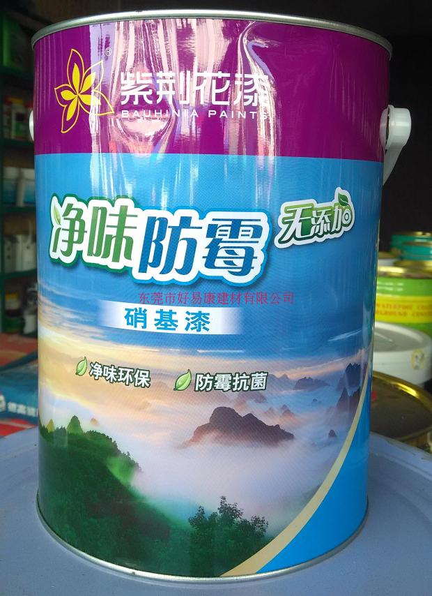 Bauhinia Flowers Net Taste mildew No Add Nitro Wood Lacquered 2 8KG furniture lacquered to decorate the paint