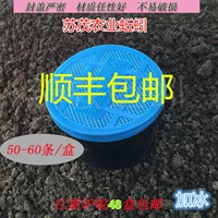 Дождевые черви в упаковке, бесплатная доставка в Цзянсу, Чжэцзян, Шанхай и Аньхой.