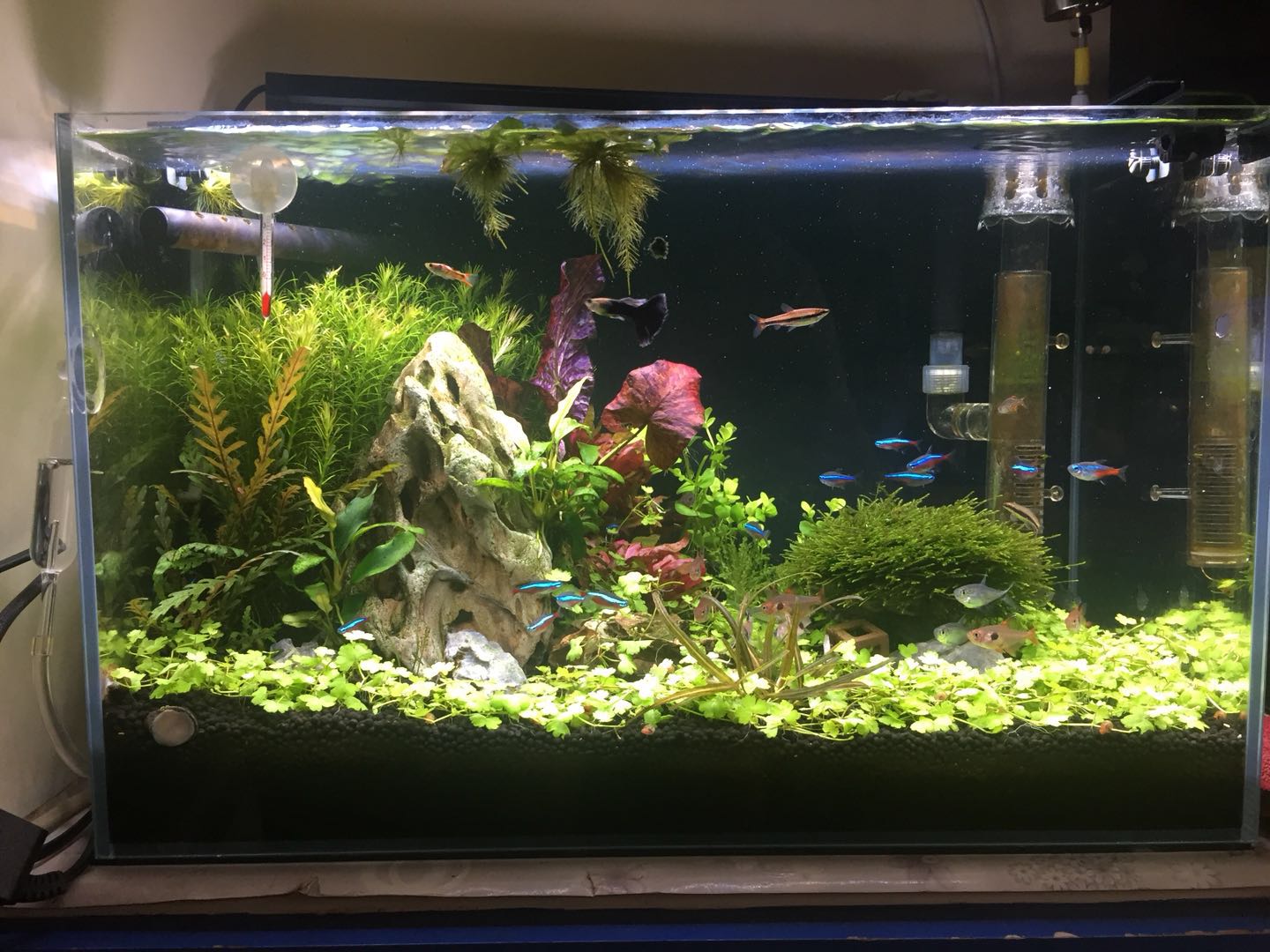 吉印水草燈水族箱led燈全光譜草缸燈魚缸燈防水造景專業照明燈夾 吉印水草燈水族箱led燈全光譜草缸燈魚缸燈防水造景專業照明燈夾