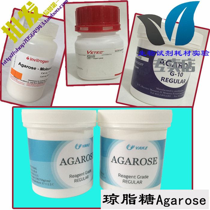 Promotional Agarose Agarose Protein Gel DNA Electrophoresis Nucleic Acid Analysis Agar Separation Molecular Experimental Research