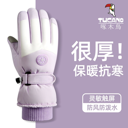 Перчатки, зимний утепленный комплект, удерживающий тепло защищающий от холода экран, ветрозащитный лыжный электромобиль, коллекция 2023